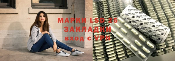 индика Зерноград